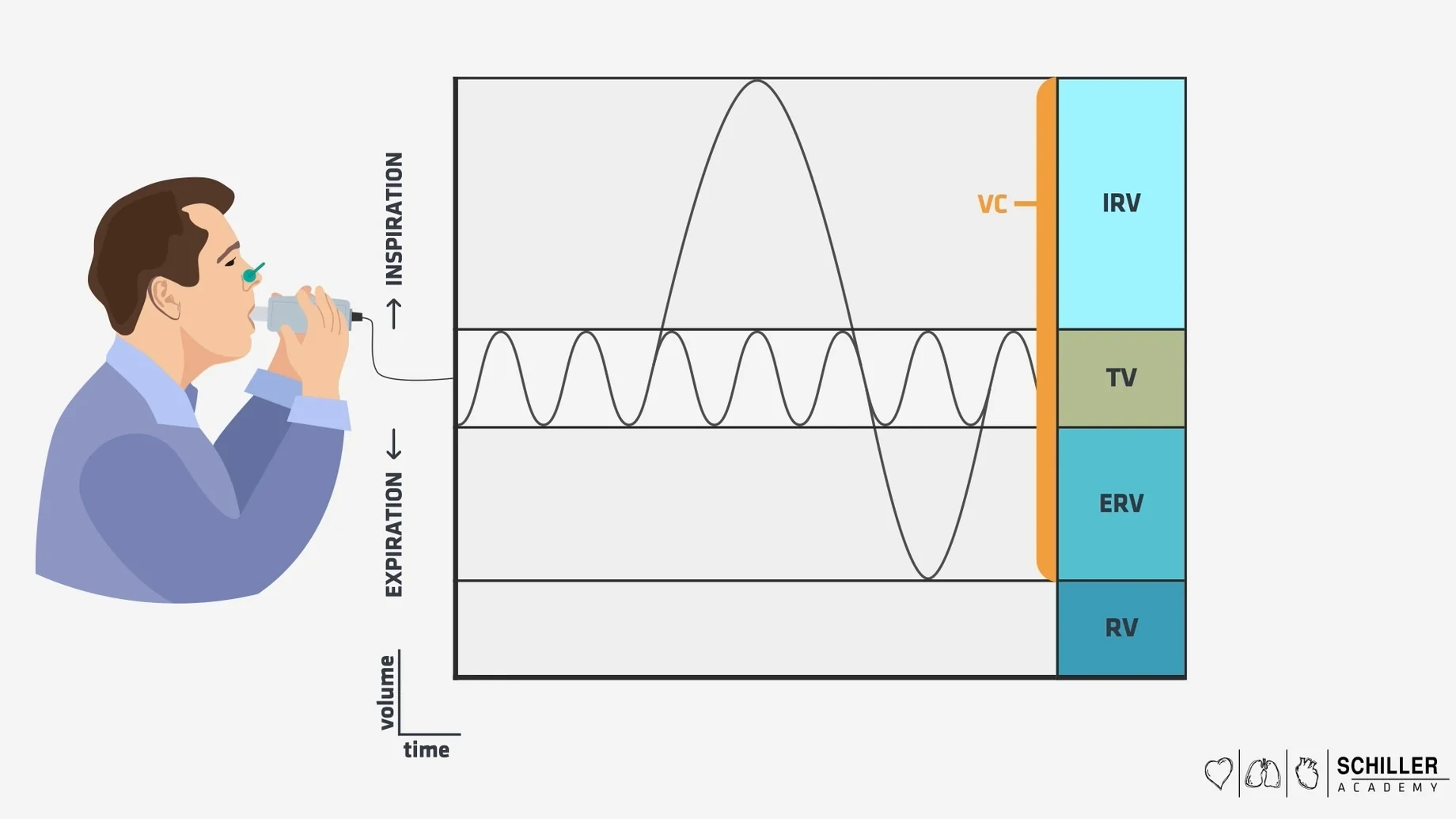 Video still: lung volumes measured during a spirometry test